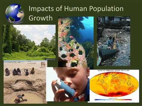 environmental issues quiz quizlet|problems due to population growth.